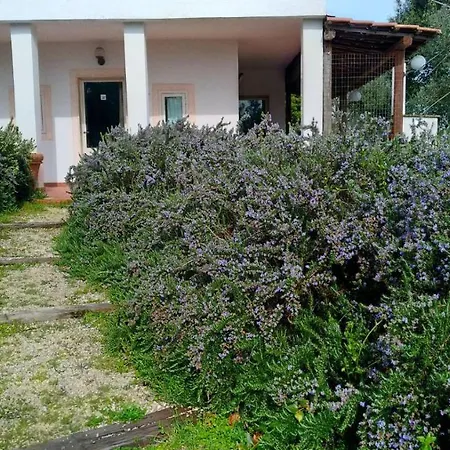 Villa Trullo Rosa Gialla