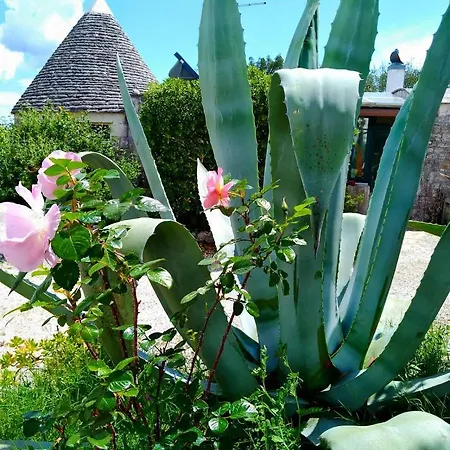 Trullo Rosa Gialla Villa Ostuni