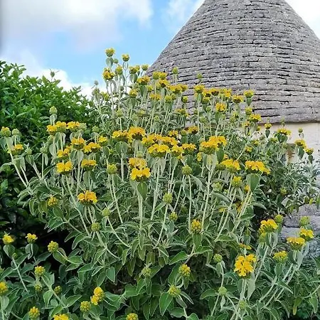 Trullo Rosa Gialla Villa Ostuni